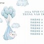 Bé Sinh Năm 2024 Thuộc Mệnh Gì Hợp Màu Gì