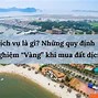 Đất Dịch Vụ 10 Là Gì