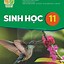 Lý Thuyết Sử 10 Kết Nối Tri Thức Bài 9